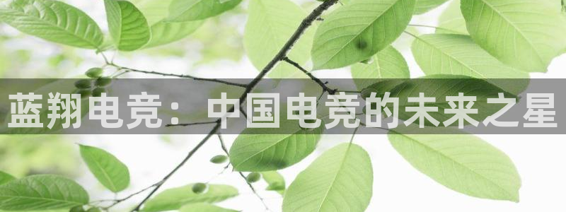 火博电竞：蓝翔电竞：中国电竞的未来之星