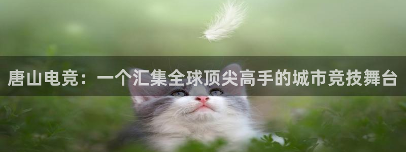 火博电竞官网入口