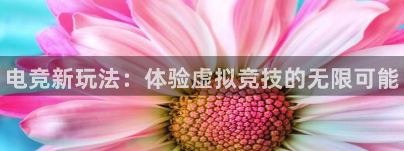 火博电竞：电竞新玩法：体验虚拟竞技的无限可能