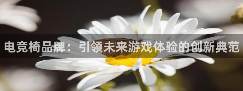 火博电竞官网入口：电竞椅品牌：引领未来游戏体验的创新典范