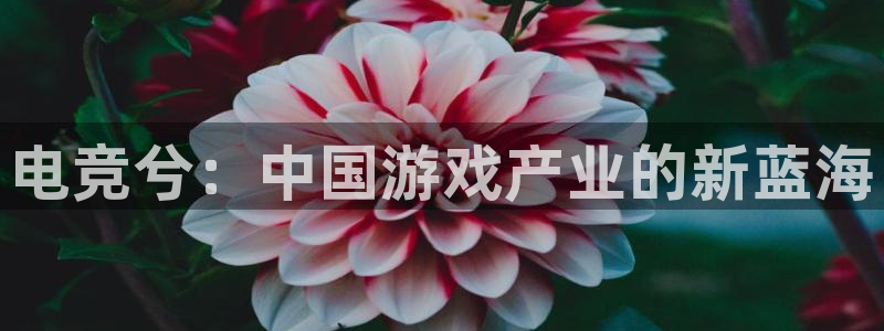 火博电竞app官网网站：电竞兮：中国游戏产业的新蓝海