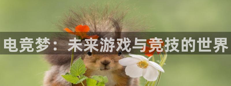 火博电竞官网入口：电竞梦：未来游戏与竞技的世界