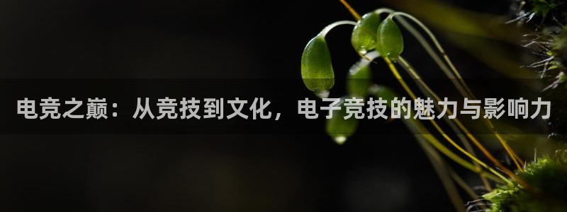 火博电竞：电竞之巅：从竞技到文化，电子竞技的魅力与影响力