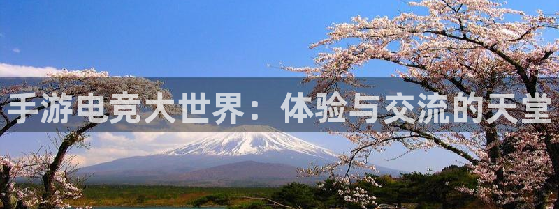火博电竞官网入口：手游电竞大世界：体验与交流的天堂