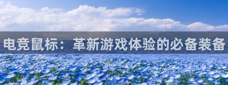 火博电竞app官网网站：电竞鼠标：革新游戏体验的必备装备